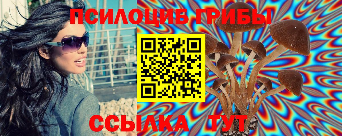Псилоцибиновые грибы Cubensis  Вход с VPN  сколько стоит  Губкинский 