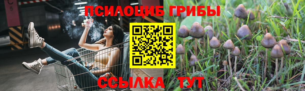 Псилоцибиновые грибы MAGIC MUSHROOMS Губкинский